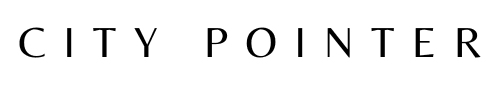 splash screen logo